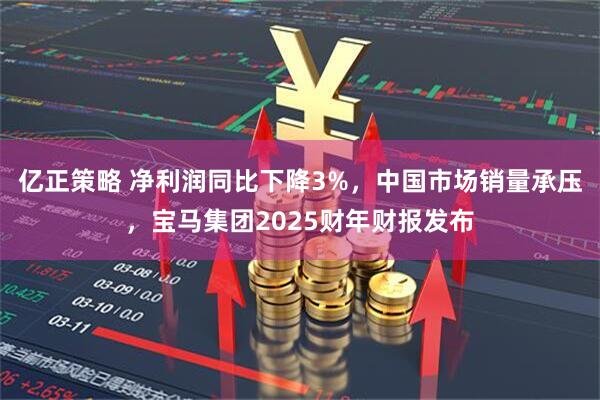 亿正策略 净利润同比下降3%，中国市场销量承压，宝马集团2025财年财报发布