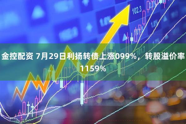 金控配资 7月29日利扬转债上涨099%，转股溢价率1159%