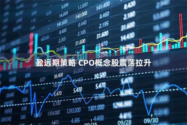 盈远期策略 CPO概念股震荡拉升